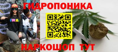ГАЛЛЮЦИНОГЕННЫЕ ГРИБЫ Краснознаменск