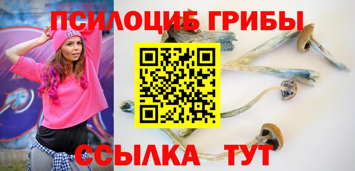 Псилоцибиновые грибы MAGIC MUSHROOMS Ессентуки