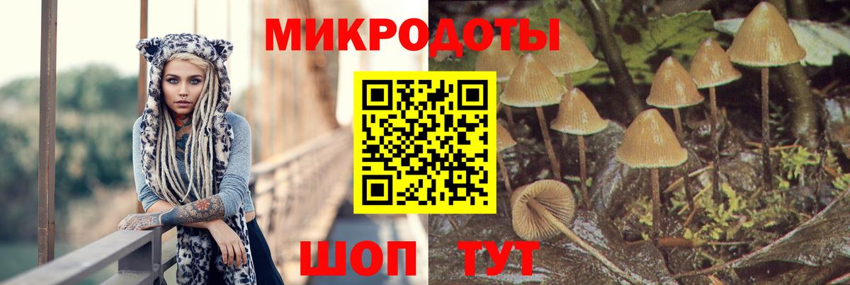 где продают   Вход с VPN  Псилоцибиновые грибы GOLDEN TEACHER  Ессентуки  Галлюциногенные грибы Magic Shrooms 